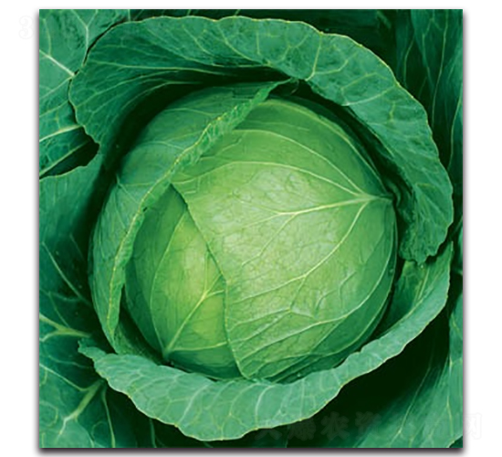 δ��(l��i)783���{(l��n)-���{(l��n)�N��-����N�I(y��)