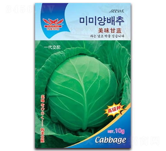 ��ζ���{-���{�N��-����N�I(y��)