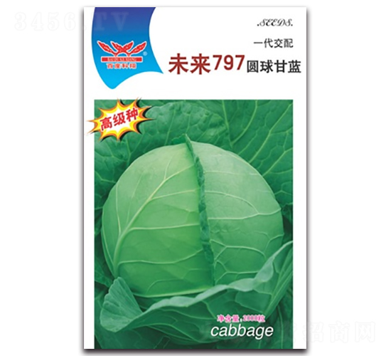 δ��797-���{�N��-����N�I(y��)