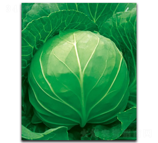 δ��(l��i)055���{(l��n)-���{(l��n)�N��-����N�I(y��)