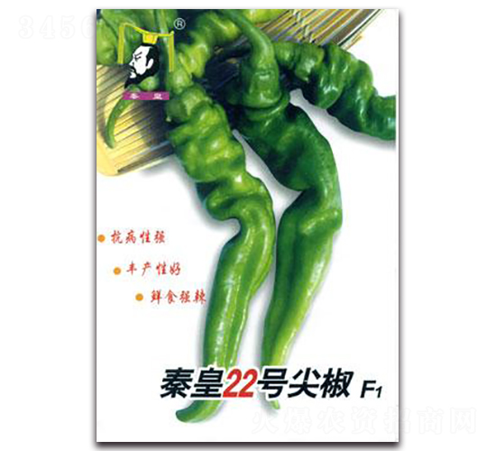 �ػ�22̖(h��o)�⽷F1-�����N��-�ػ�