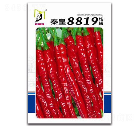 �ػ�8819����-�����N��-�ػ�