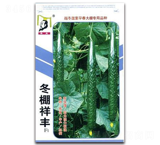 �������SF1-�S�ϷN��-�ػ�