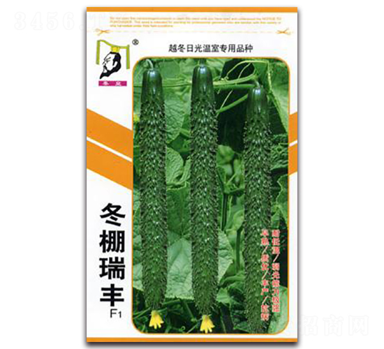 �������SF1-�S�ϷN��-�ػ�