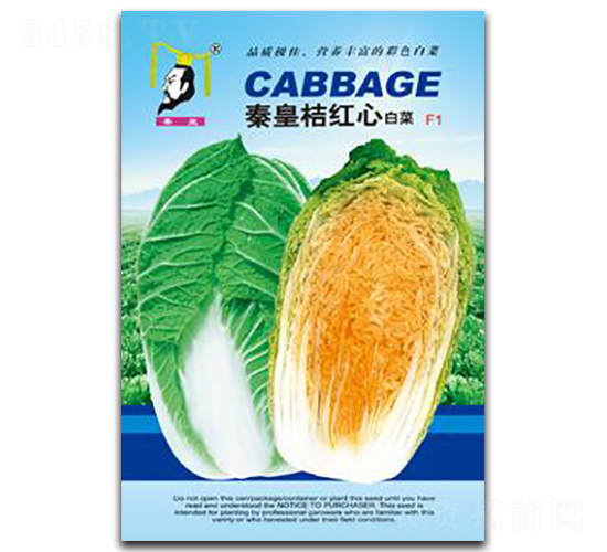 �ػʽۼt�İײ�F1-�ײ˷N��-�ػ�