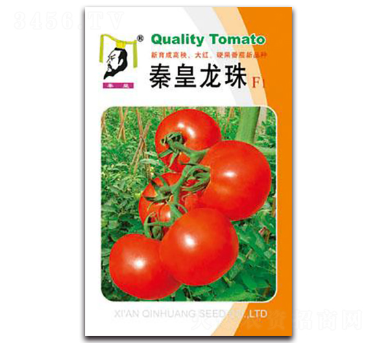 �ػ�����F1-���ѷN��-�ػ�