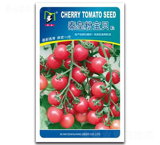 �ػʷی�ؐF1-���ѷN��-�ػ�