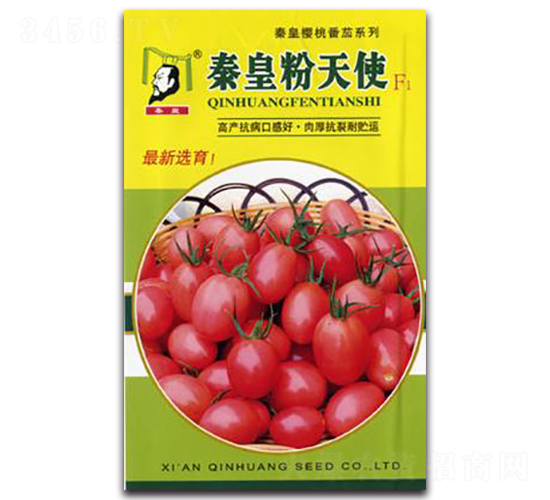 �ػʷ���ʹF1-���ѷN��-�ػ�