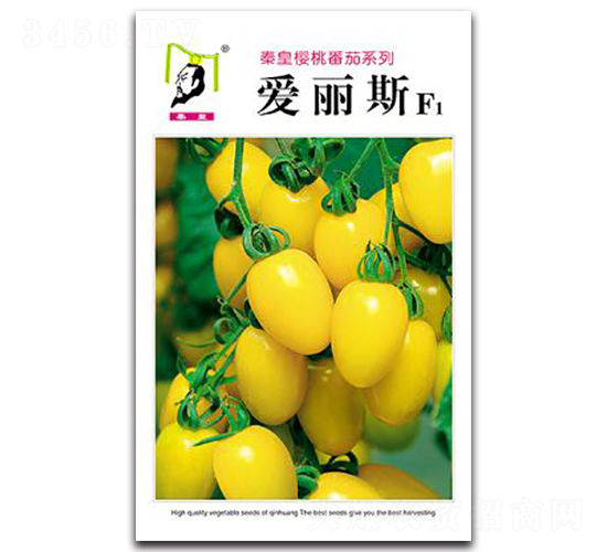 ����˹F1-���ѷN��-�ػ�