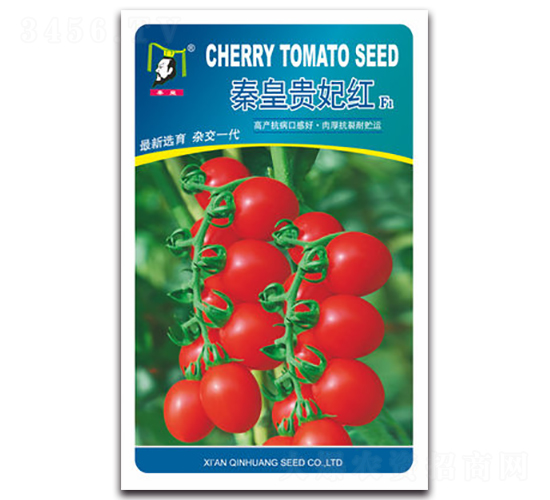 �ػ��F���tF1-���ѷN��-�ػ�