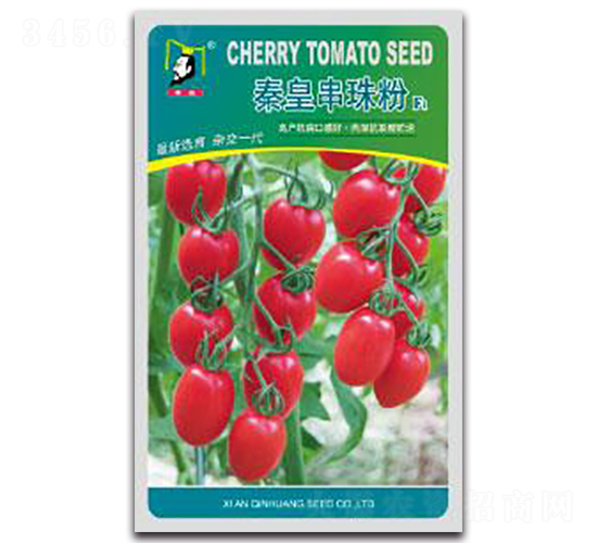 �ػʴ����F1-���ѷN��-�ػ�