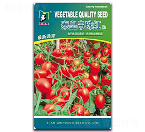 �ػʴ���tF1-���ѷN��-�ػ�