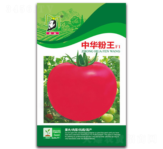 ���A����F1-���ѷN��-�ػ�