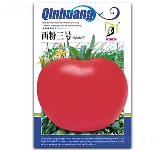 ������̖F1-���ѷN��-�ػ�