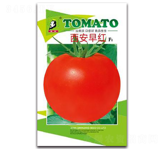 ������tF1-���ѷN��-�ػ�