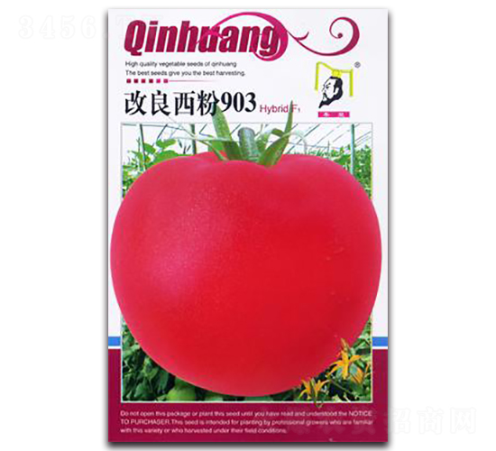 ��������903F1-���ѷN��-�ػ�