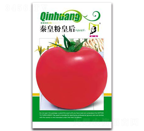 �ػʷۻʺ�F1-���ѷN��-�ػ�