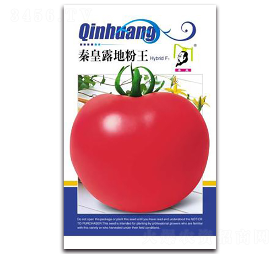 �ػ�¶�ط���F1-���ѷN��-�ػ�