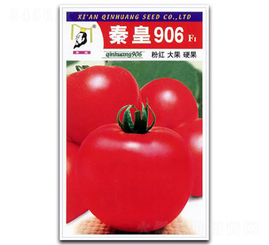 �ػ�906F1-���ѷN��-�ػ�