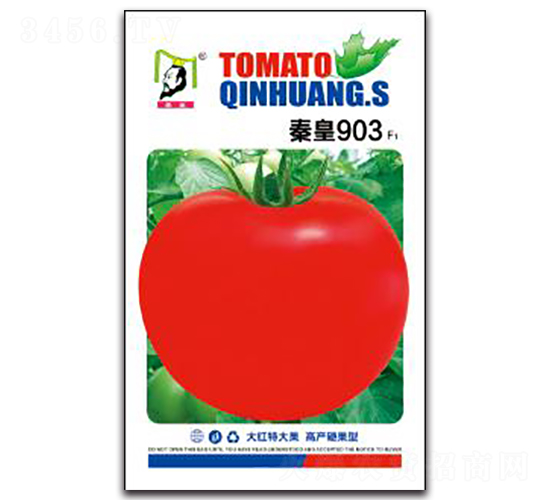 �ػ�903F1-���ѷN��-�ػ�