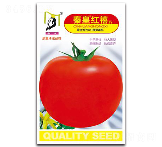 �ػʼt��F1-���ѷN��-�ػ�