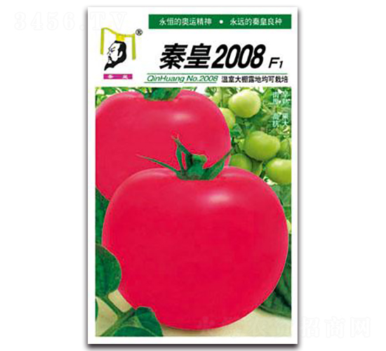 �ػ�2008F1-���ѷN��-�ػ�