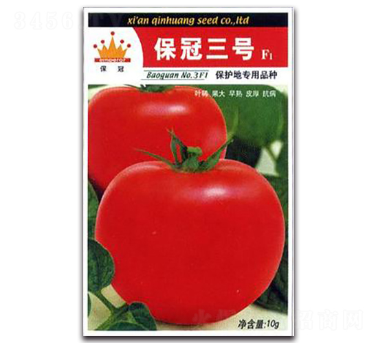 ������̖F1-���ѷN��-�ػ�