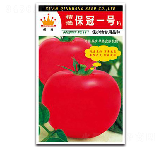 ���x����һ̖F1-���ѷN��-�ػ�