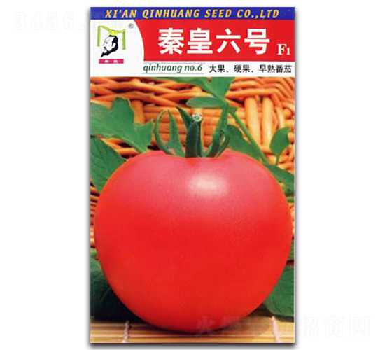 �ػ���̖F1-���ѷN��-�ػ�