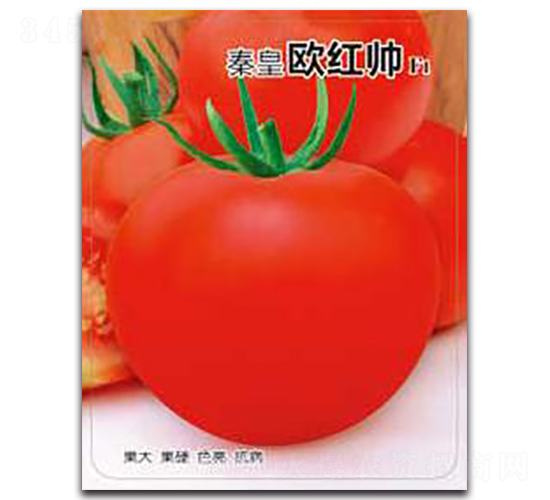 �ػʚW�t��F1-���ѷN��-�ػ�