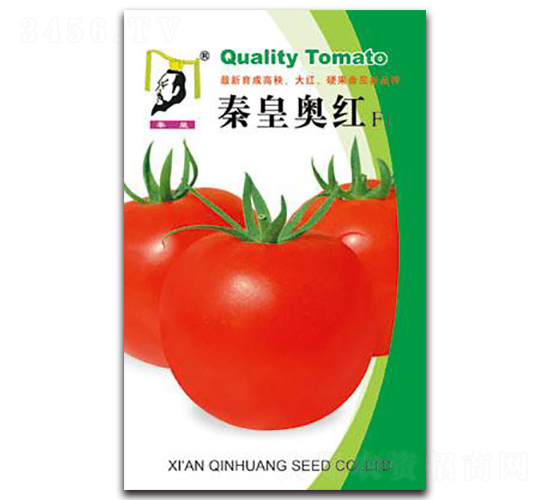 �ػʊW�tF1-���ѷN��-�ػ�