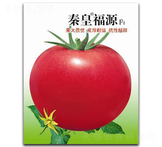 �ػʸ�ԴF1-���ѷN��-�ػ�