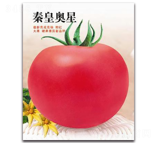 �ػʊW��-���ѷN��-�ػ�