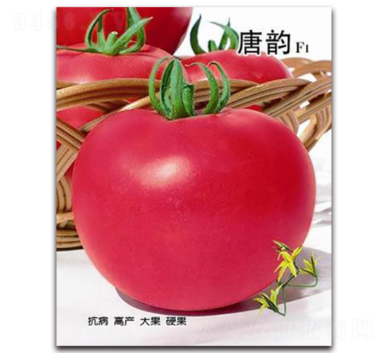 ���F1-���ѷN��-�ػ�