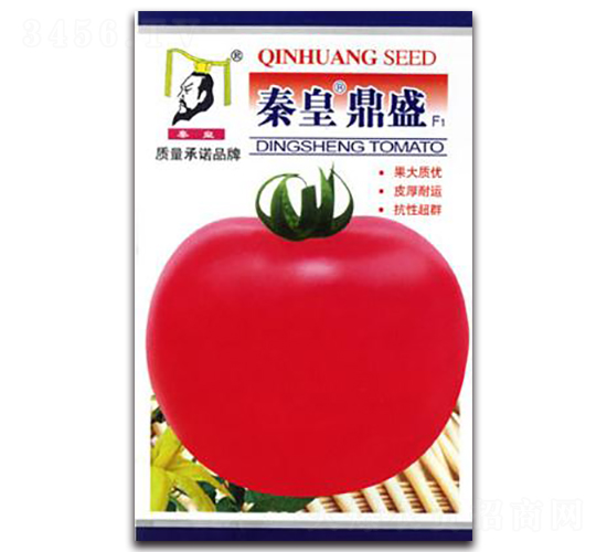 �ػʶ�ʢF1-���ѷN��-�ػ�