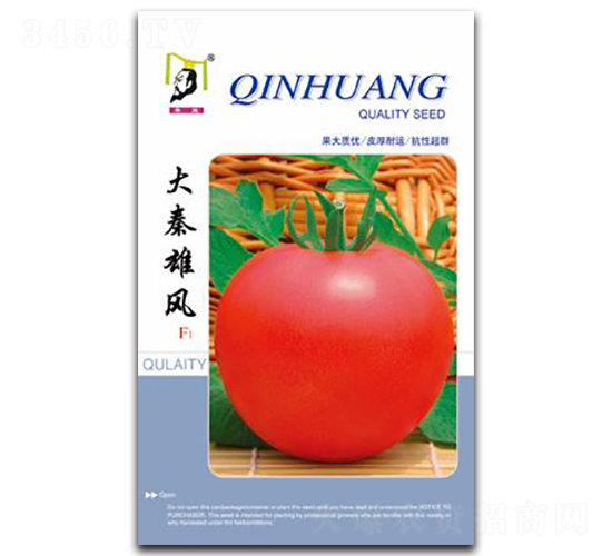 ���x�������LF1-���ѷN��-�ػ�