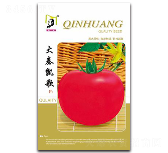 ���؄P��F1-���ѷN��-�ػ�