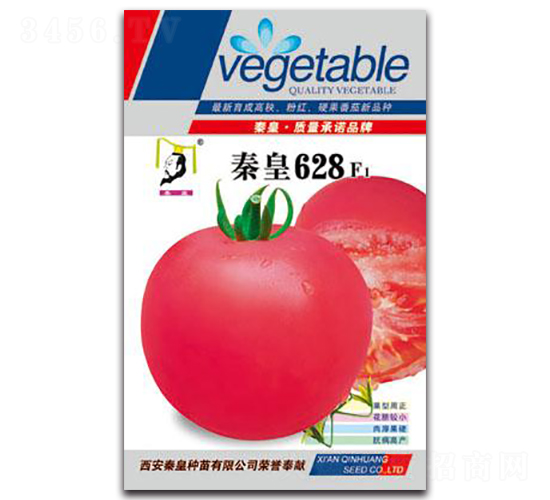 �ػ�628F1-���ѷN��-�ػ�