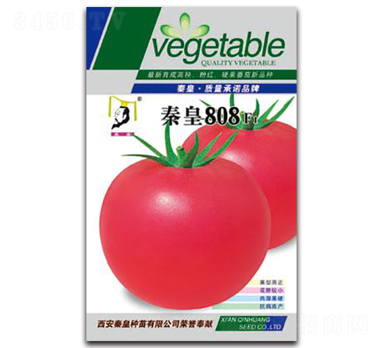 �ػ�808F1-���ѷN��-�ػ�