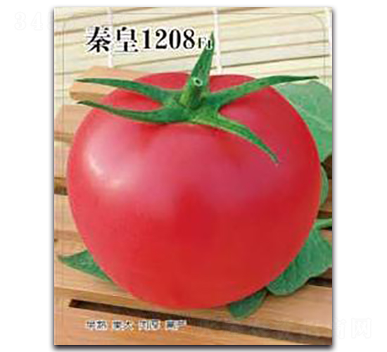 �ػ�1208F1-���ѷN��-�ػ�