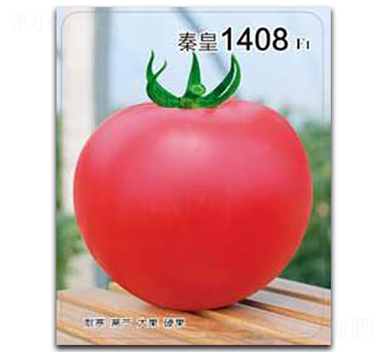 �ػ�1408F1-���ѷN��-�ػ�