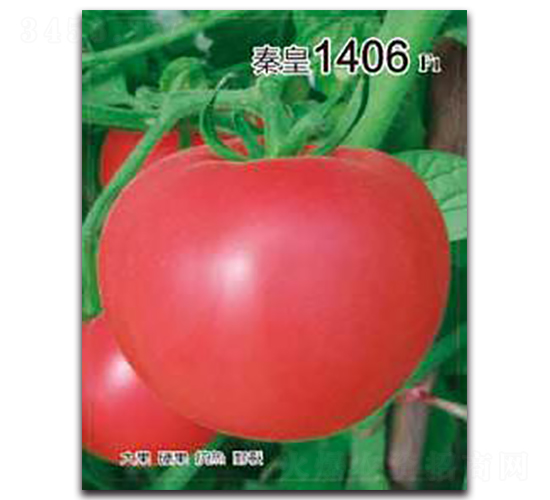 �ػ�1406F1-���ѷN��-�ػ�