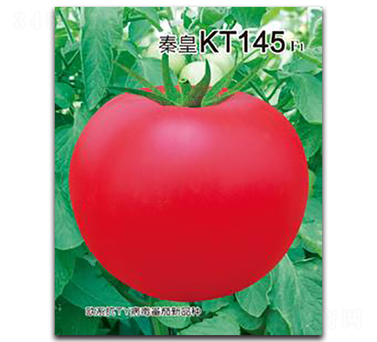 �ػ�KT145F1-���ѷN��-�ػ�