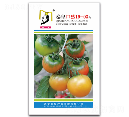 �ػʿڸ�19-03F1-���ѷN��-�ػ�