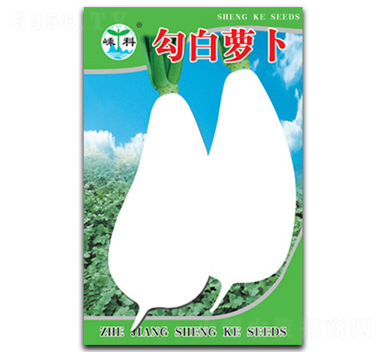 �����}��-�}���N��-�ӿƷN�I(y��)