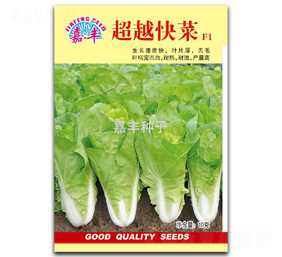 ��Խ���F1-�ײ˷N��-���S�N��