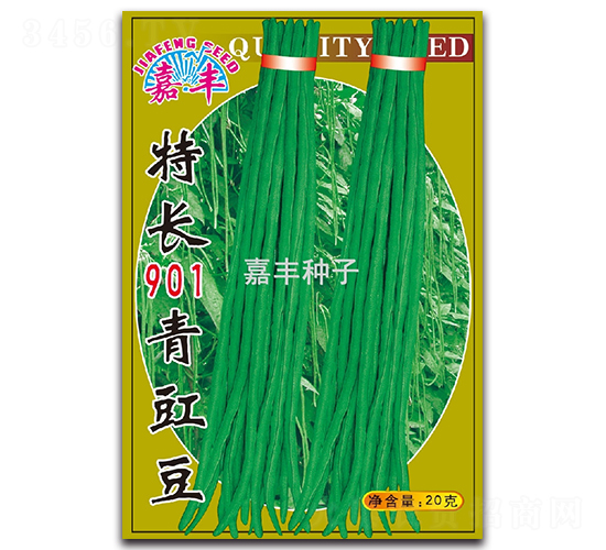 ���L(zh��ng)901������-�����N��-���S�N��