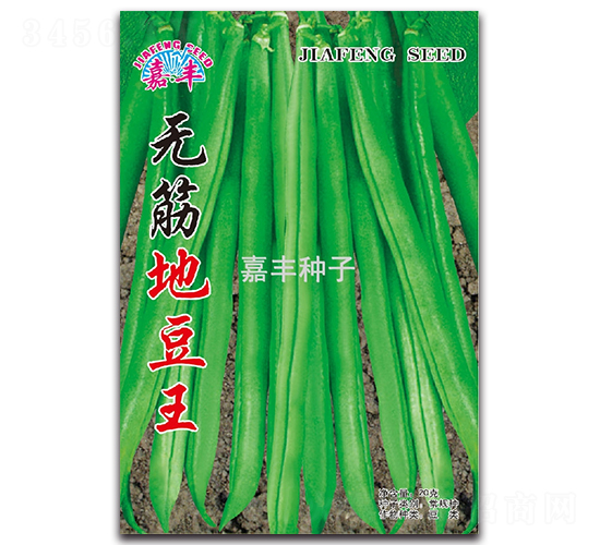 �o��ض���-�ض��N��-���S�N��