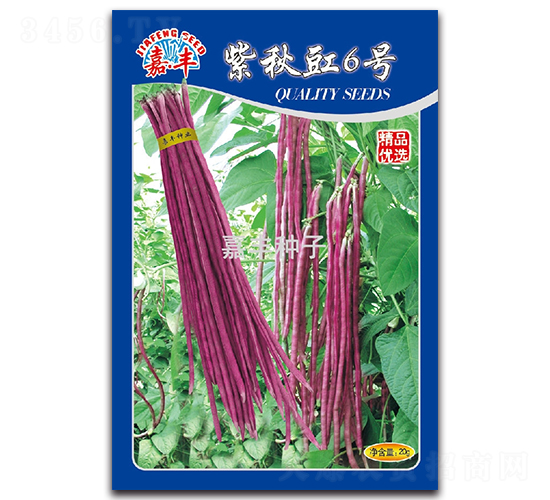 ������6̖-�����N��-���S�N��