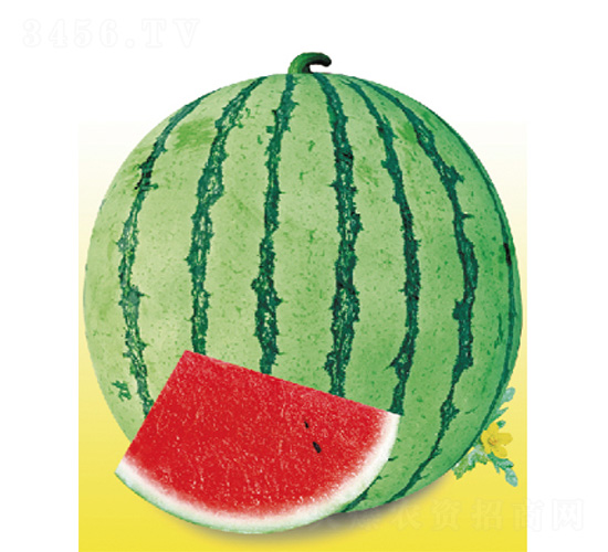 ����һ̖-���ϷN��-����